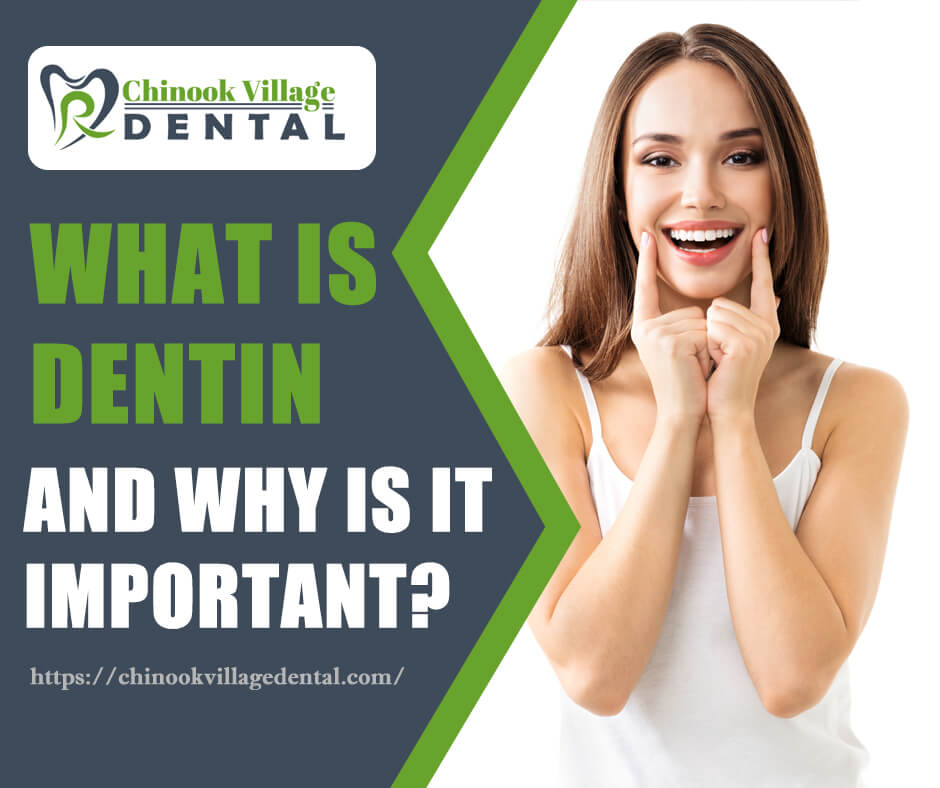 What is Dentin and Why is it Important?